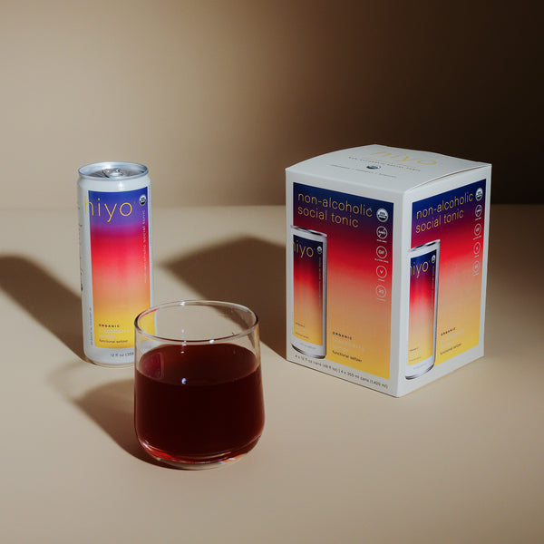 hiyo Blackberry Lemon Social Tonic (Ready to Drink Single Can)