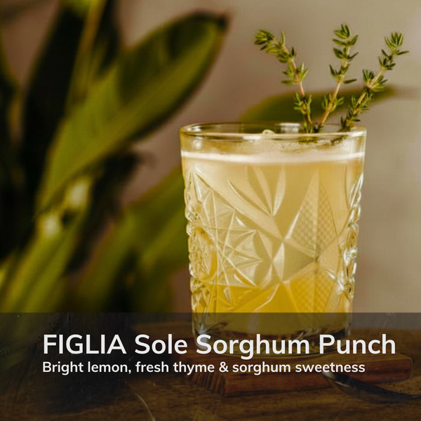 FIGLIA Sole Sorghum Punch served over ice with a fresh thyme garnish.