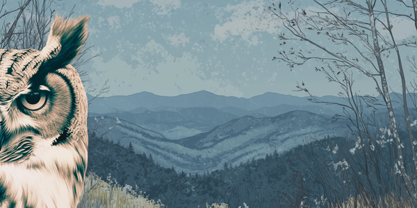 Free In Store Tasting [Spring Has Spring]