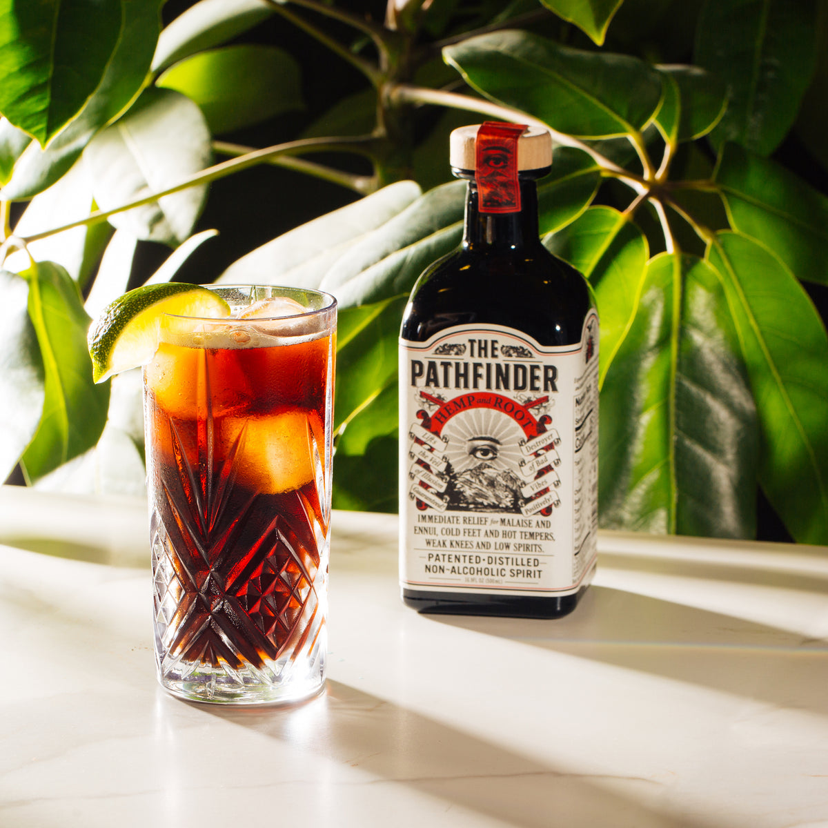 The Pathfinder Hemp and Root – NØLO