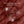 Curious Elixirs Red