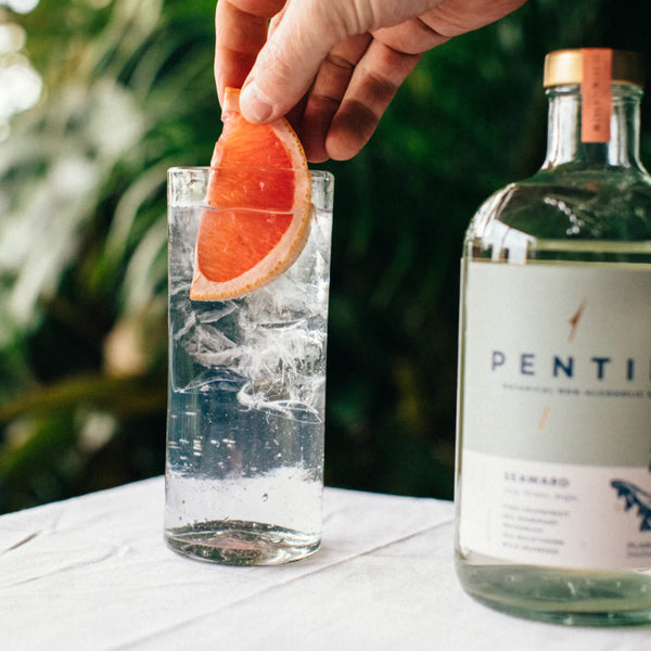 Pentire Seaward Non-Alcoholic Botanical Spirit