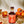 Spiritless Kentucky 74 Spiced