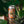 Athletic Brewing Tropical Reset  (6 Pack)
